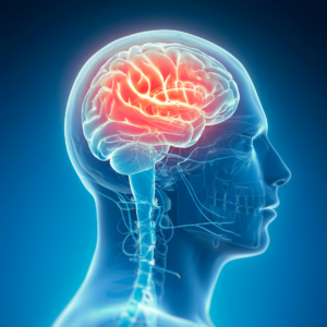 Neurological Care in Valley Stream, NY